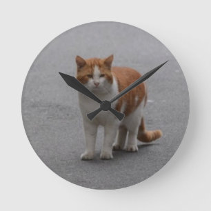 Thomas Ginger en White Cat Ronde Klok