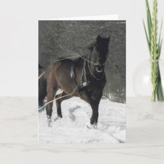 Thomas in de sneeuw feestdagen kaart
