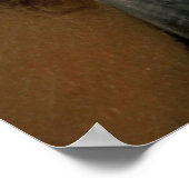 Thomas Jefferson citeert eerlijkheid en is de eers Poster (Hoek)