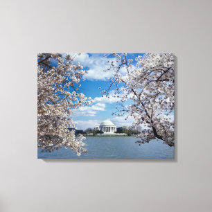 Thomas Jefferson Memorial met Cherry Blossom Canvas Afdruk