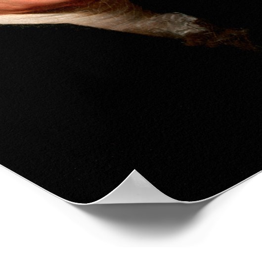 Thomas Jefferson - poster (Coin)