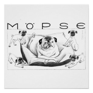 Thomas Theodor Heine - Möpse Poster Canvas Print Perfect Poster