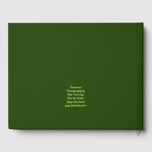 Thomasse Gastenboek (Achterkant)