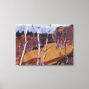 Thomson - Moonlight, Algonquin Park Canvas Afdruk