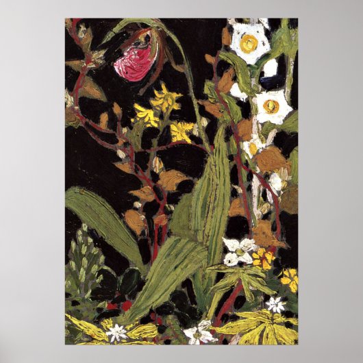 Thomson - Orchideeën, Algonquin Park Poster (Voorkant)