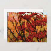 Thomson - Soft Maple in het najaar Briefkaart (Voorkant / Achterkant)