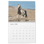 Thor, Calendrier des Chevaux Sauvages (Jan 2026)