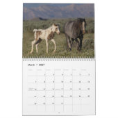 Thor, Calendrier des Chevaux Sauvages (Mar 2027)