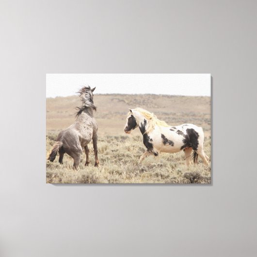 Thor en Booker Roos Canvas Afdruk (Voorkant)