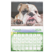 Thor le calendrier du bouledogue 2019 (Mar 2026)