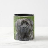 Thor Mastiff Mok (Midden)