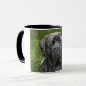 Thor Mastiff Mok (Voorkant links)