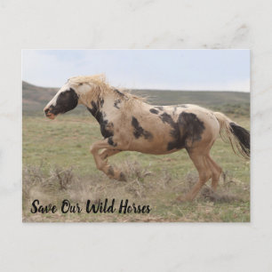 Thor McCullough Peaks Briefkaart