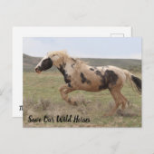 Thor McCullough Peaks Briefkaart (Voorkant / Achterkant)