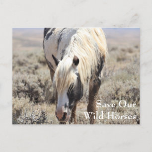 Thor McCullough Peaks Briefkaart