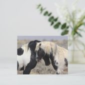 Thor McCullough Peaks Wild Horse Briefkaart (Staand voorkant)