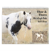 Thor & Thora op McCullough Peaks Wilde Paarden