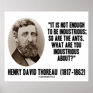 Thoreau is niet genoeg om zo moeilijk te zijn, ook poster