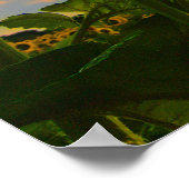 Thoreau, Morning Star Poster (Hoek)