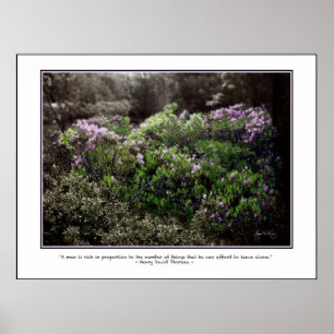 Thoreau Quote Poster - Sheep Laurel