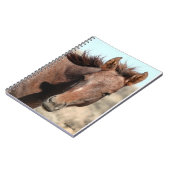 Thorin van zandwasbak notitieboek (Linkerzijde)