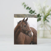 Thoroughbred briefkaart (Staand voorkant)