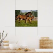 Thoroughbred Chestnut Mare & Foal Poster (Keuken)