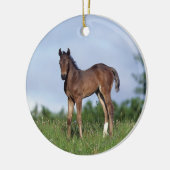 Thoroughbred Foal Standing in the Grass Keramisch Ornament (Links)