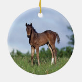 Thoroughbred Foal Standing in the Grass Keramisch Ornament (Achterkant)