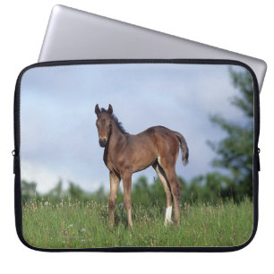 Thoroughbred Foal Standing in the Grass Laptop Sleeve