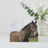 Thoroughbred Horse Briefkaart (Staand voorkant)