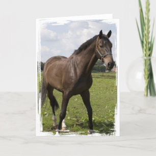 Thoroughbred Horse Card Kaart