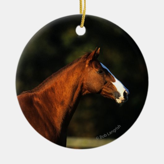 Thoroughbred Horse Headshot Keramisch Ornament (Voorkant)