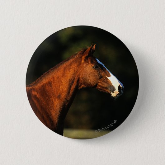 Thoroughbred Horse Headshot Ronde Button 5,7 Cm (Voorkant)