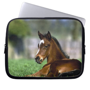 Thoroughbred Horse Ierland Laptop Sleeve