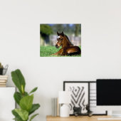 Thoroughbred Horse, Ierland Poster (Thuiskantoor)