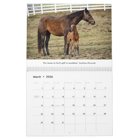 Thoroughbred Horse Lovers 12 mois Calendrier (Mar 2026)