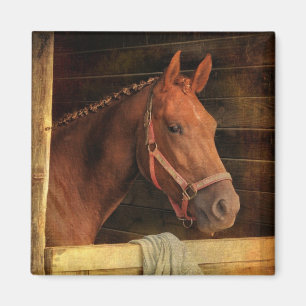 Thoroughbred Horse Magneet