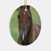 Thoroughbred Horse Photo Ornament (Rechts)