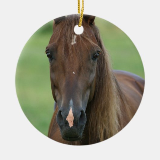 Thoroughbred Horse Photo Ornament (Voorkant)