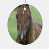Thoroughbred Horse Photo Ornament (Links)