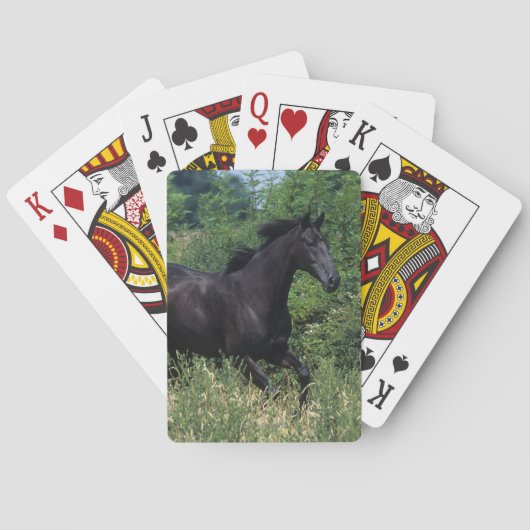 Thoroughbred Horse Runin Grass Pokerkaarten (Achterkant)