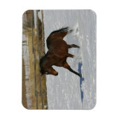 Thoroughbred Horse Runin the Snow Magneet (Verticaal)