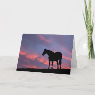 Thoroughbred Horse Silhouetted at Sunrise Kaart