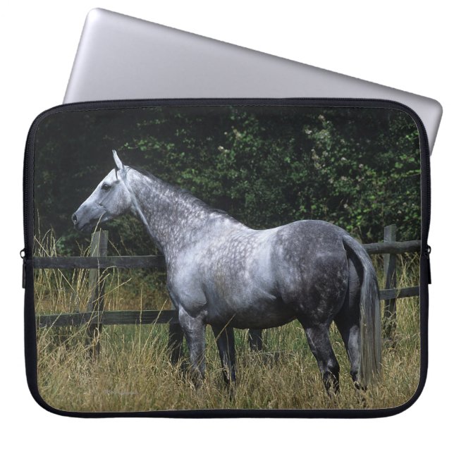 Thoroughbred Horse Standing by Fence Laptop Sleeve (Voorkant)