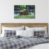 Thoroughbred Horse Standing in Flowers Canvas Afdruk (Insitu (Slaapkamer))