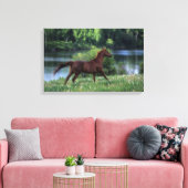 Thoroughbred Horse Standing in Flowers Canvas Afdruk (Insitu (Woonkamer))