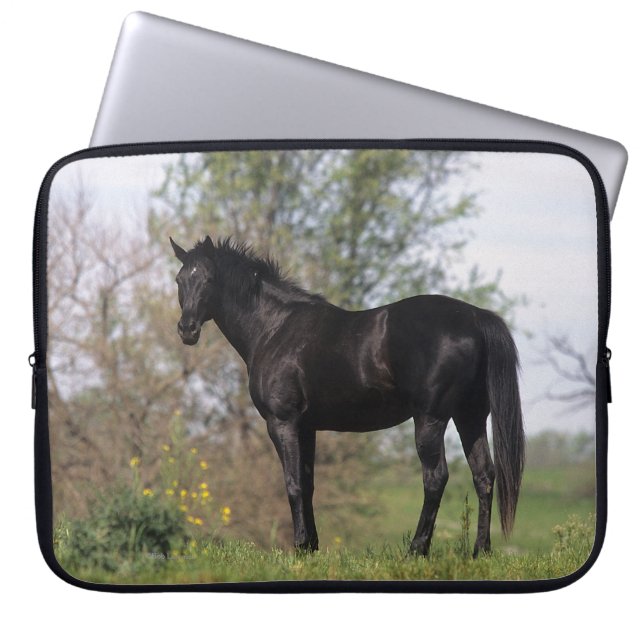 Thoroughbred Horse Standing Laptop Sleeve (Voorkant)