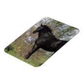 Thoroughbred Horse Standing Magneet (Linkerzijde)