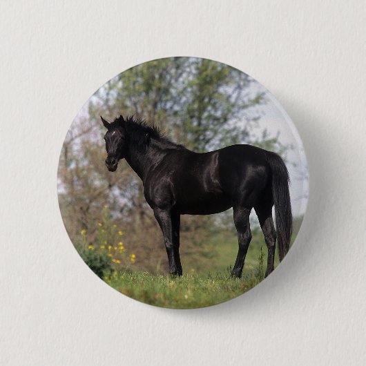 Thoroughbred Horse Standing Ronde Button 5,7 Cm (Voorkant)